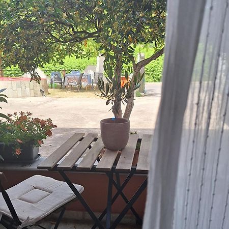 Apartament Wilson & Andrew House - Wanderlust Avliótes Zewnętrze zdjęcie